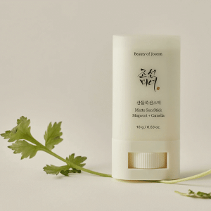 Beauty of Joseon Matte sun stick Mugwort+Camelia 1
